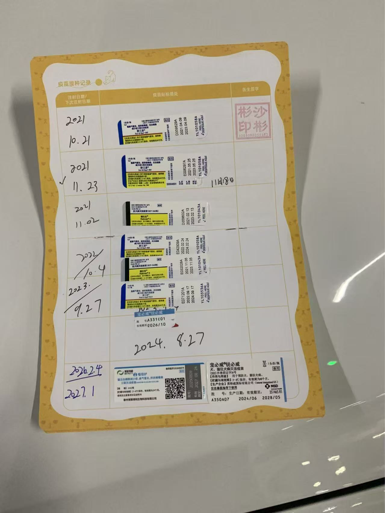 纯白英短,小偿领养,疫苗齐全,送套用品